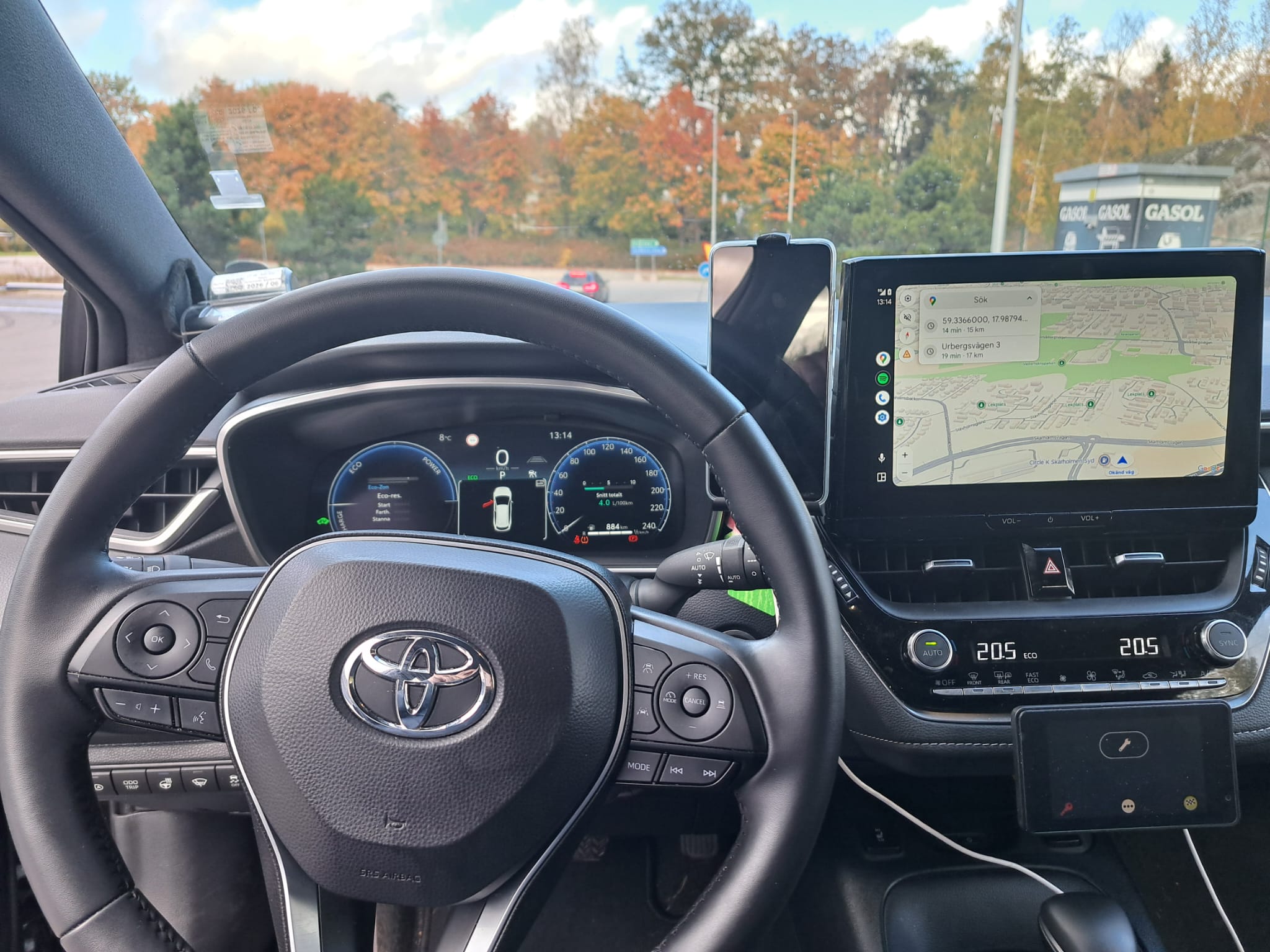 Professional Standards